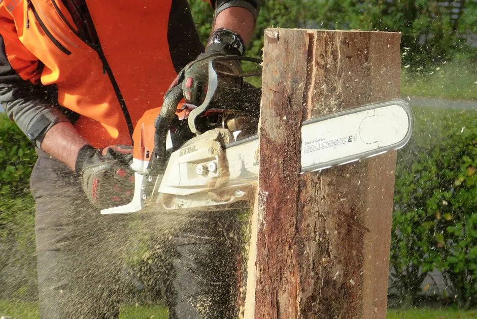 Arboriculteur professionnel au travail, Arles