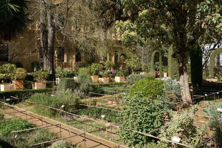 Abattage et travaux paysagers, région Arles