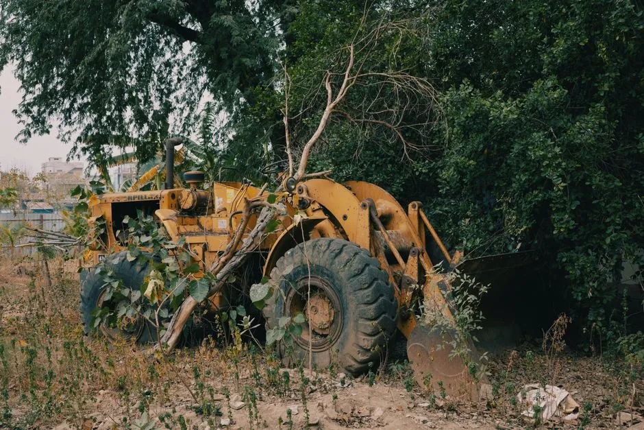 Entretien d'espaces verts en Camargue